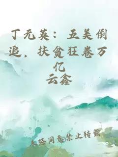 丁元英:五美倒追,扶贫狂卷万亿